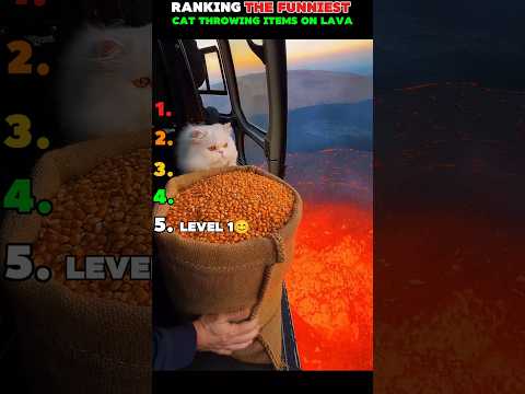 RANKING THE BEST CAT THROWING ITEMS ON LAVA🤯😱