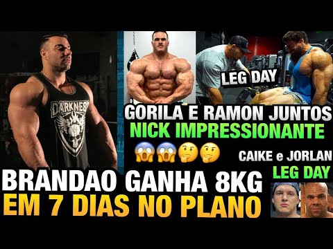 BRANDÃO GANHA 8 KG EM 7 DIAS - GORILA LEVA RAMON AO LIMITE - JORLAN E CAIKE NO LEG DAY E MUITO MAIS