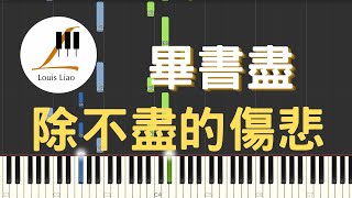 畢書盡 Bii 除不盡的傷悲 電視劇 我是顧家男 片尾曲 鋼琴教學 Synthesia 琴譜