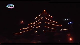 preview picture of video 'Santo Stefano di Rogliano: acceso il grande albero luminoso'