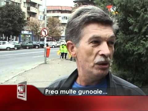 Prea multe gunoaie…