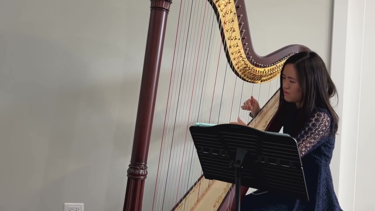 Promotional video thumbnail 1 for Natalie Man, Harpist