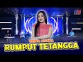 Shinta Arsinta Rumput Tetangga Official Music Video
