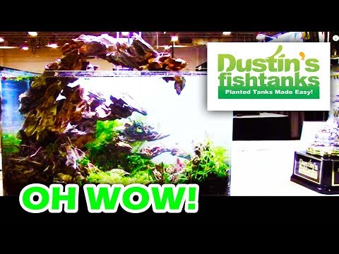 Aquascaping Contest  Fresh Fest Day of Judging Video