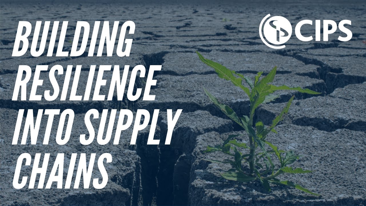 Building Resilient Supply Chains through Coronavirus | CIPS