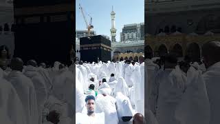 Download lagu Muhammad Saidul kaunayin#trending #viralvideo #hijab #shihabchotturpaidalhajj #love mp3