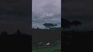 Download lagu story wa || pesawat tempur || Iwan fals mp3 Download lagu story wa || pesawat tempur || Iwan fals mp3