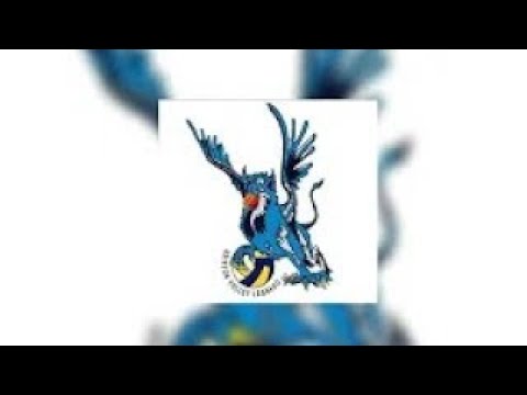 6^ GIORNATA DI CAMPIONATO: SABBIONESE - GRIFFON VOLLEY