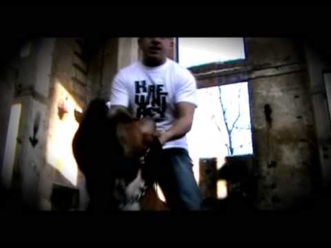 Krewniacy -  Z zachoniej części