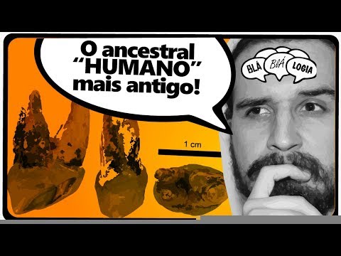 O ANCESTRAL "HUMANO" MAIS ANTIGO! #SlowNews 21 | BlaBlalogia