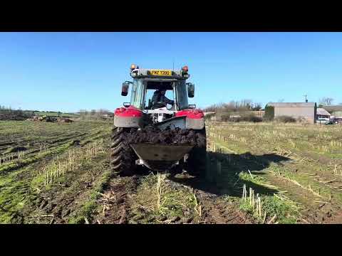 Muck Spreader Wylie Cows Livestock Manure - Image 2