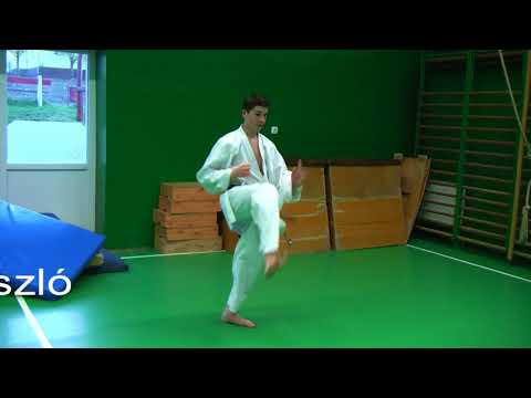 KIHON KATA GO