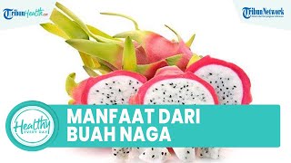 Selain Mampu Jaga Imun, Buah Naga Juga Punya Segudang Manfaat untuk Kesehatan Tubuh, Ini Daftarnya