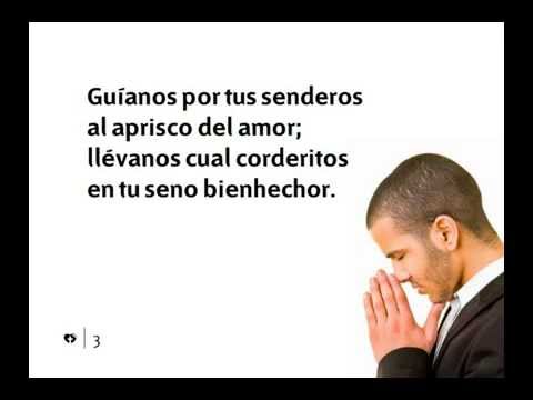 450 OH JESÚS, PASTOR DIVINO