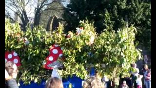 preview picture of video 'Torrington Carnival 2013'