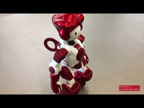 EMIEW Review Video 4