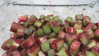HOW TO STEW RHUBARB AND MAKE IT INTO A CRUMBLE!