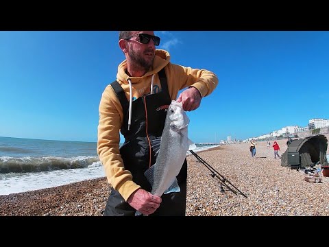 Sea Fishing Brighton Beach - Rough conditions and mixed species