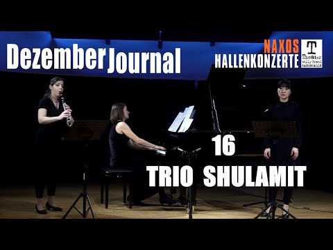 DezemberJournal Nr. 16 - Trio Shulamit | Naxos Hallenkonzerte