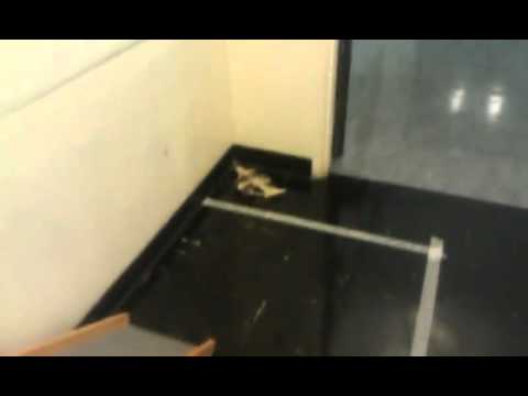 AME101 Fall 2011 King of the Hill - Test