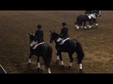 The Culver Girls Academy Equestriennes Alumnae Weekend Ride