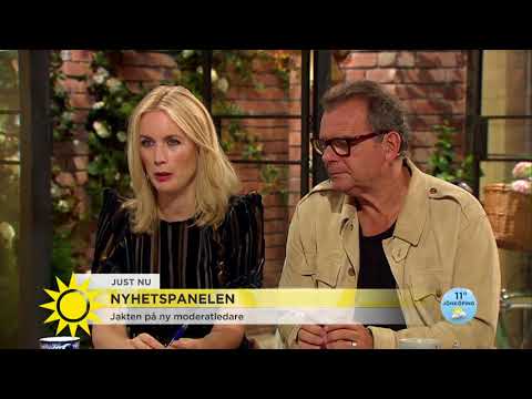 "Jag drömmer om en M-ledd regering utan statsminister" - Nyhetsmorgon (TV4)