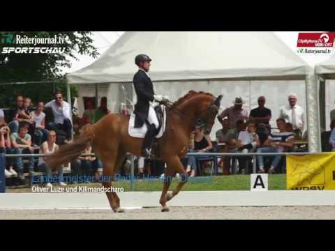 Reiterjournal Sportschau: BWM Schutterwald 2017