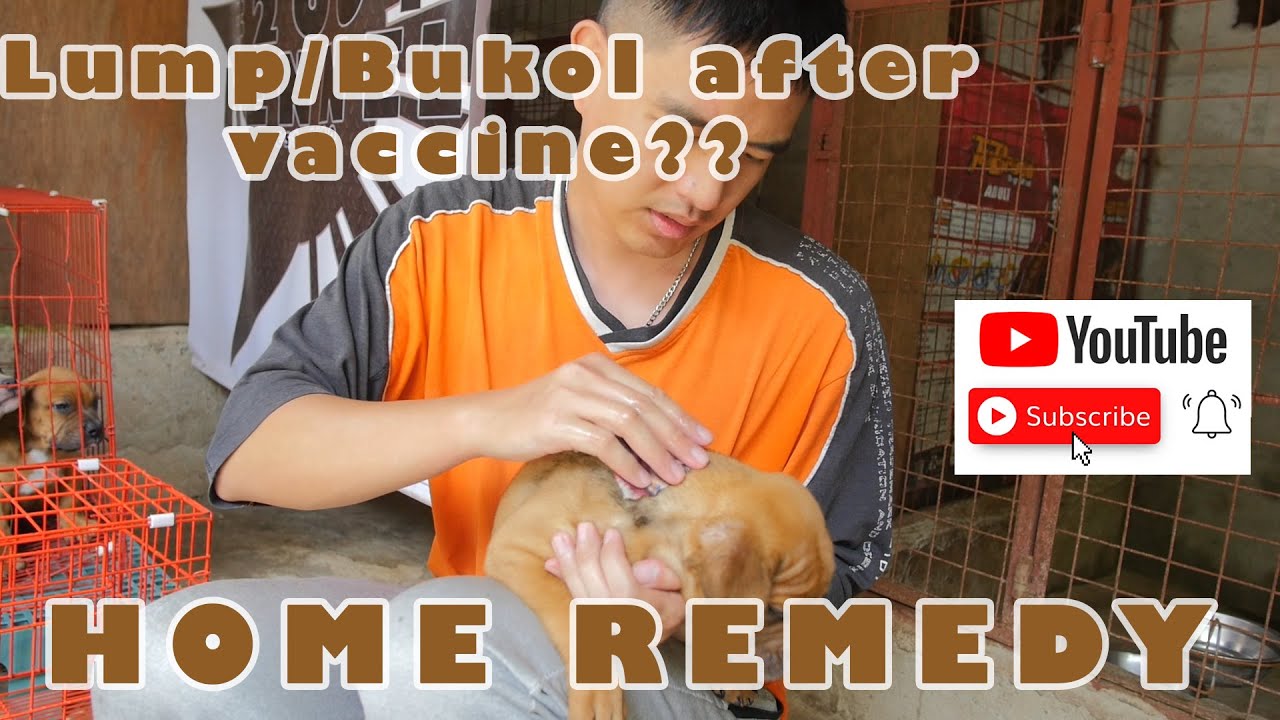 Home remedy ng Lump/Bukol after vaccination.