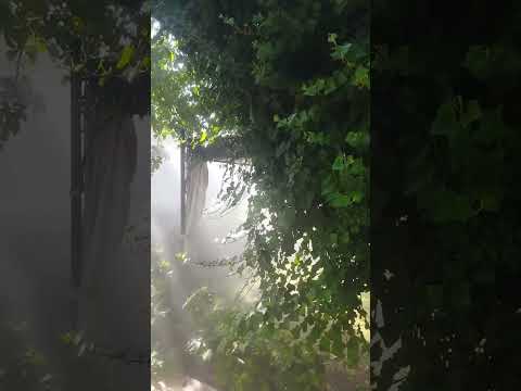 Монтаж систем туманообразования микроклимат в Ташкенте.   974444420.   951442044