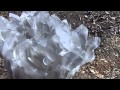 HUGE VERY RARE BLUE GHOST PHANTOM CLUSTER__Arkansas Quartz Crystal