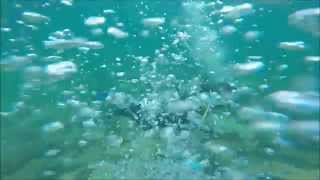 open water  dive Fort Lauderdale Fl Reef Inspection