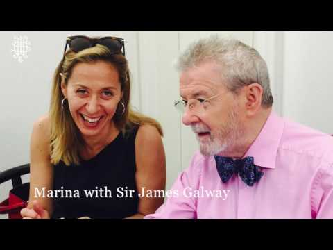 Meet the Artists - Marina Piccinini