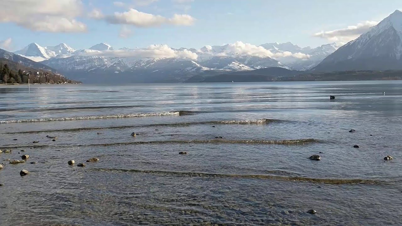 Experience the captivating allure of Bonstetten Park.