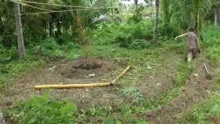 Indian style climbing support for plants!