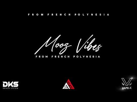 SHIPA TOERE - (MEZOK X TEREM’S) 2024