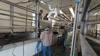 Download lagu Milking Efficiency Improved mp3 Download lagu Milking Efficiency Improved mp3