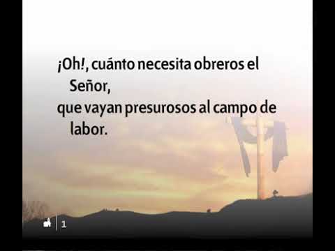 552 Oh Cuanto Necesita