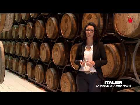 KroneTV - Live Nachrichten, Dokus, Reportagen, Serien und Sport | Jetzt auf YouTube streamen!