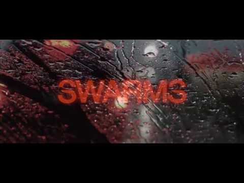 Swarms - Chicane