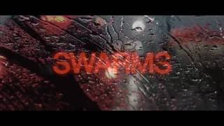 Swarms - Chicane