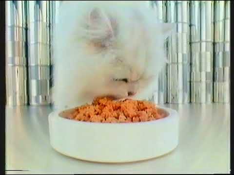 [720p/50p] ITV Thames | continuity | 24th January 1984 | Part 1 of 2