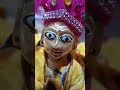 Krishna Kanha Gopal Kanhaiya Murari Mohan Madhav Girdhari Bankey Bihari Nandlal Sawariya Shyam