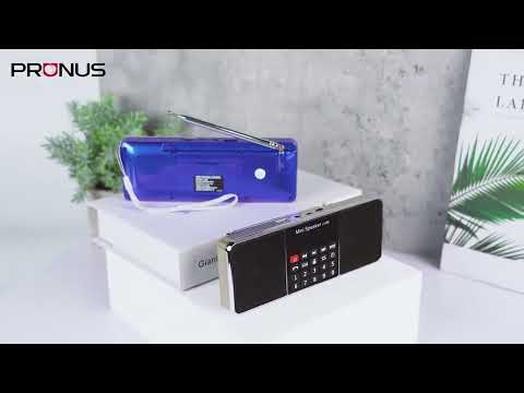 PRUNUS J-288 AM FM Radio Bluetooth Speaker with Sleep Timer Supports TF Card USB AUX