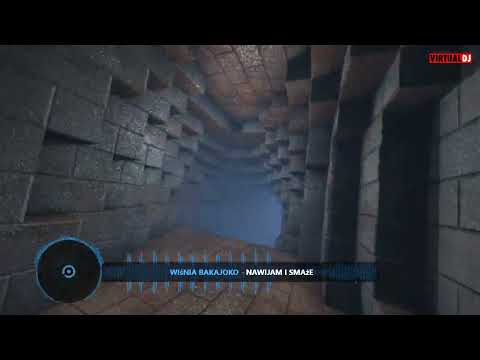 REMIX Wiśnia BAKAJOKO 2023