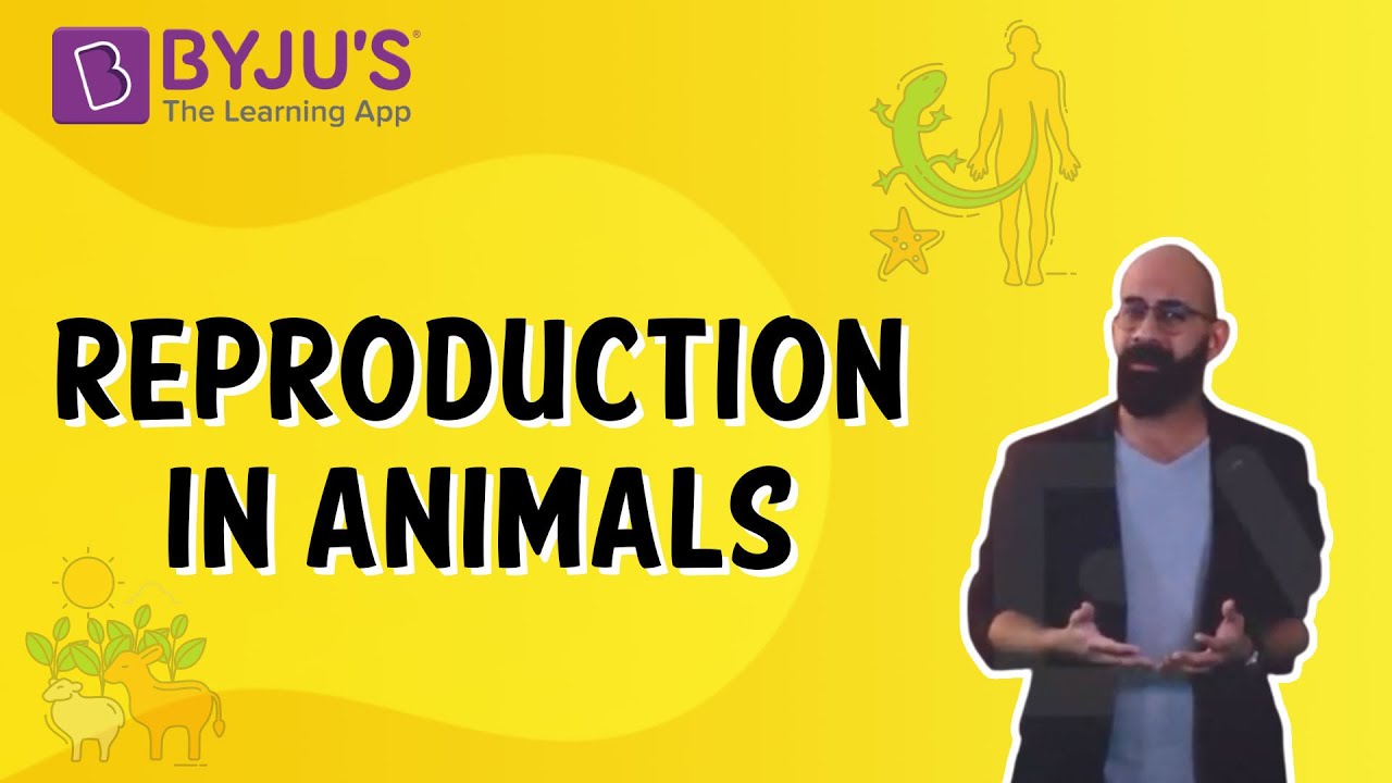 Reproduction in Animals | Class 4 | Learn With BYJU'S