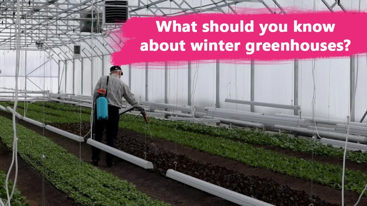 How to Save on Heating: Essential Conditions for a Winter Greenhouse