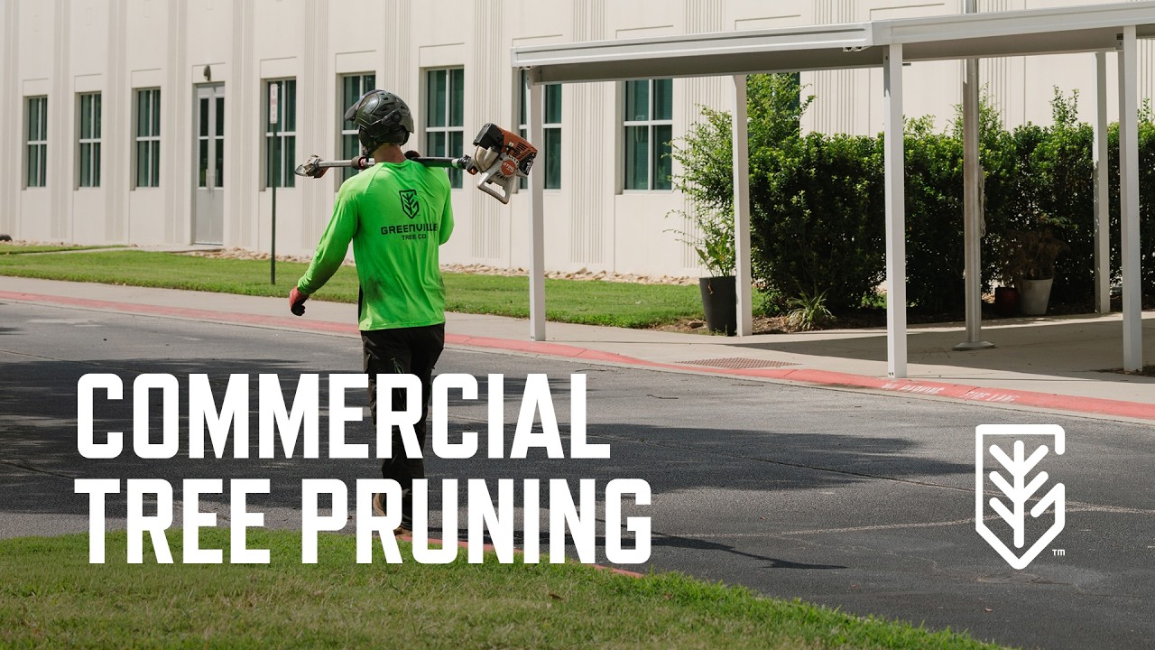 Commercial Tree Pruning | Green Upstate Charter High School
