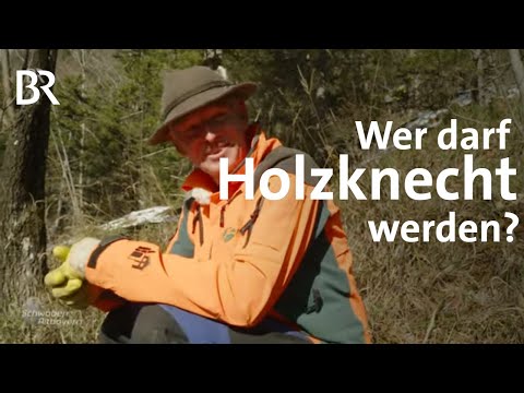 Holzknecht-Casting: So läuft das Auswahlverfahren im Forstbetrieb | Schwaben & Altbayern | BR