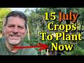 15 Vegetable Plants To Direct Sow Seed In July Mature Plant Seeding Examples