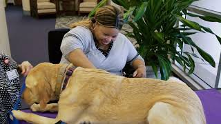 Discover WakeMed Rehabilitation Hospital | WakeMed